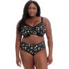 imageGODDESS Kayla Underwire Banded Bra UnderwearSakura