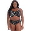 imageGoddess Womens Plus Size Kayla BriefSakura