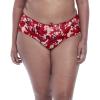imageGoddess Womens Plus Size Kayla BriefLove Story
